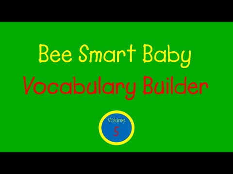 Bee Smart Baby - Vocabulary Builder: Vol. 5 (2000)