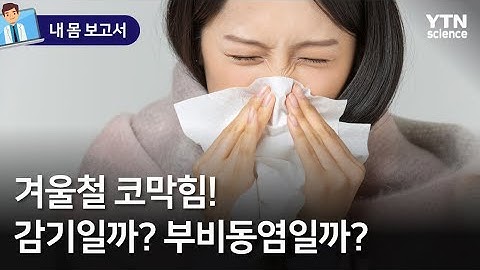 [내 몸 보고서] 겨울철 코막힘! 감기일까? 부비동염일까? / YTN 사이언스