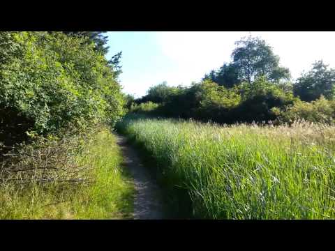 Estuary walk in Parksville British Columbia,  CA