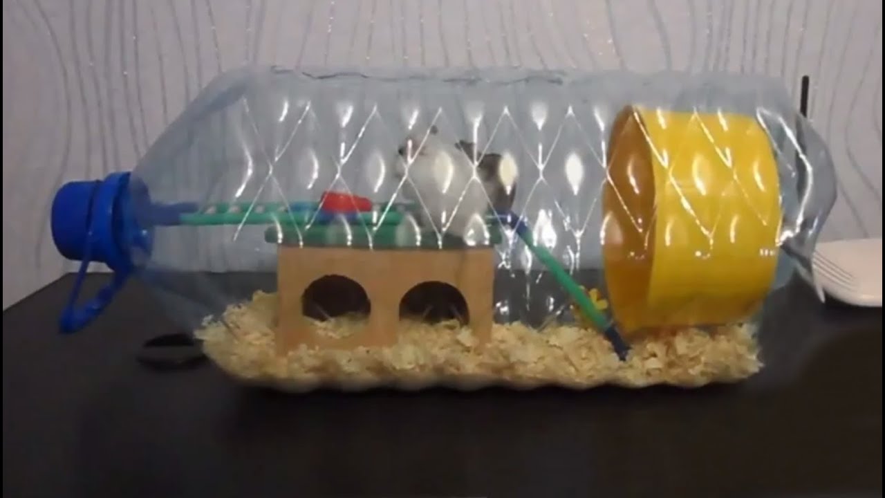 Как сделать домик из картона для хомяка?