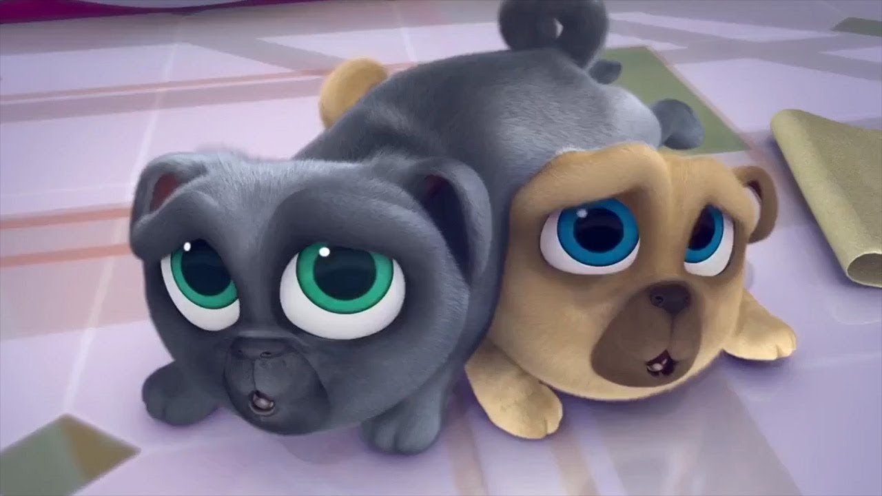 Puppy Dog Pals Memorable Moments Puppy Dog Pals Full Episodes Disney