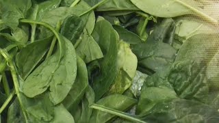 Fourth supermarket recalls spinach products Guide
