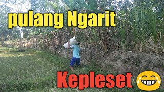 Panas Panas Ngarit,Cari pakan😁-Video pendek lucu Jawa