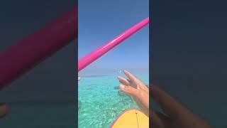 Couple Rescues Sea Turtle Trapped in Netting in Southern Maldives