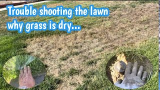 Trouble shooting the lawn why grass is dry | How to by ES Complete Yard Work 196 views 9 months ago 7 minutes, 42 seconds