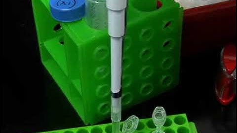 Hi-C technique is a method used to investigate the intricate three-dimensional structure of genomes