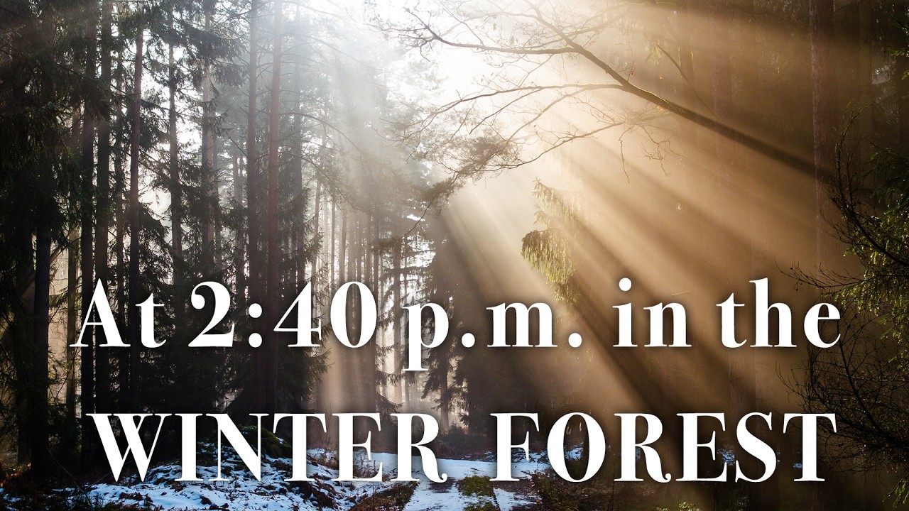 At 2:40 p.m. in the Winter Forest