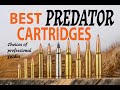 Best Cartridges For Predators Varmints Choices Of Professional Guides Best Cartridges For Predators Varmints Choices Of Professional Guides