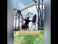 台灣公園太治癒！大陸公園踩地雷？