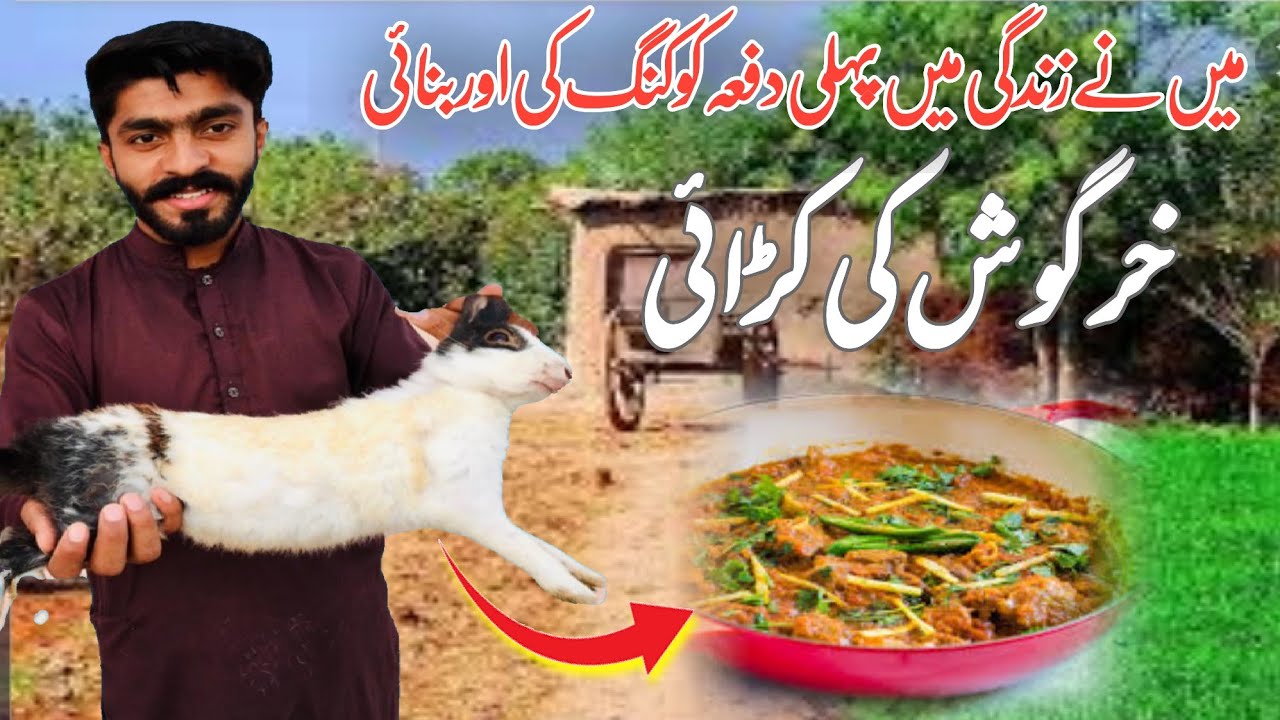 Rabbite Ka Ghosht Banya Mai Ne || Rabbite Racipe || Rabbite Curry ...