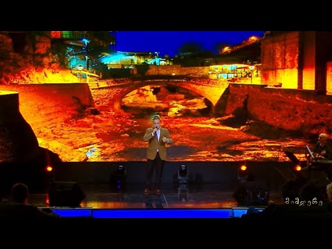 ნიჟარაძეები - „მიმღერე“, V ეპიზოდი