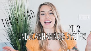 THC vs CBD: Your Endocannabinoid System (Part 2)