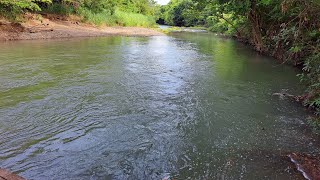 Vila Boa  Goiás , quatro rios que não secam e área de fazendas, belíssimas paisagens.