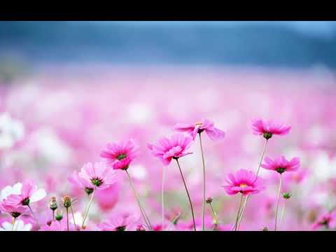[TJ노래방라운지] 슬픈안녕 - 이지연