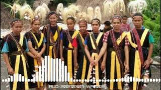 LAGU JAI BAJAWA#TERBARU 2020# EDELWEIS