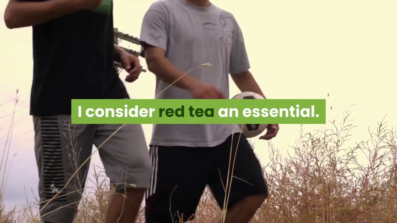Why red tea is better than green tea