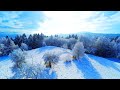 ✨Winter & Snow + Calming Piano Music For Meditation, Study & Sleep Music .