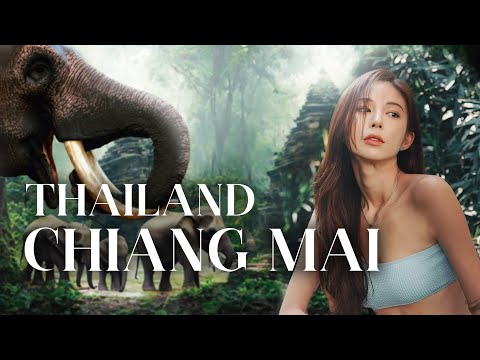 꿈같았던 치앙마이에서의 일주일  | CHIANG MAI VLOG