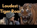 These tigers growled for hours at bandhavgarh         atr daily vlog  36