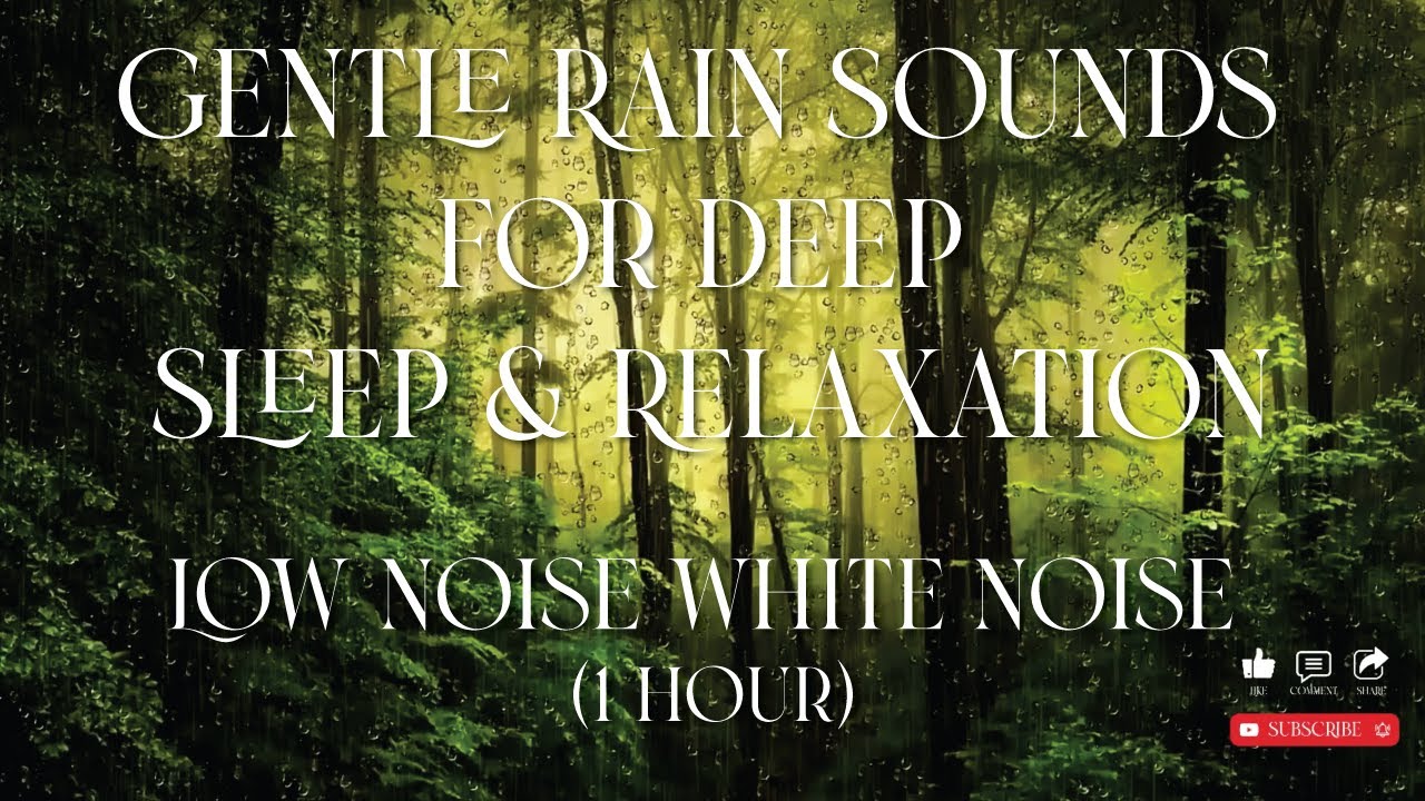 1 Hour Gentle Rain Sounds for Deep Sleep & Relaxation | Low Noise White ...