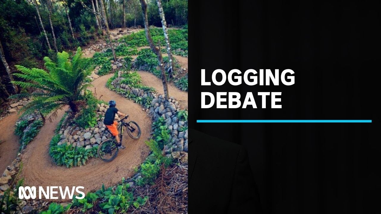 Tensions over plans to log trees near renowned Derby mountain bike trails | ABC News