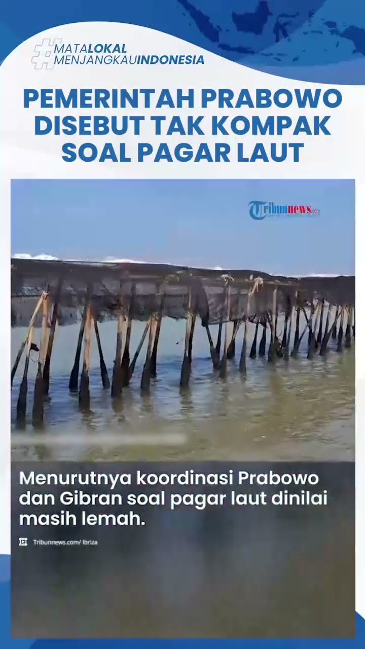 Benarkah Prabowo-Gibran Tak Kompak soal Pagar Laut? Pengamat Sebut Ada Beda Pendapat antar Lembaga