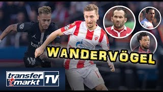 Marin, Gekas & Co.: Die Wandervögel Europas im Fokus | TRANSFERMARKT