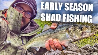 Bank Fishing Early Season American Shad [Bonneville Dam]