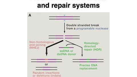 MCB 182 Lecture 4.3 - Gene editing (non CRISPR-Cas9)