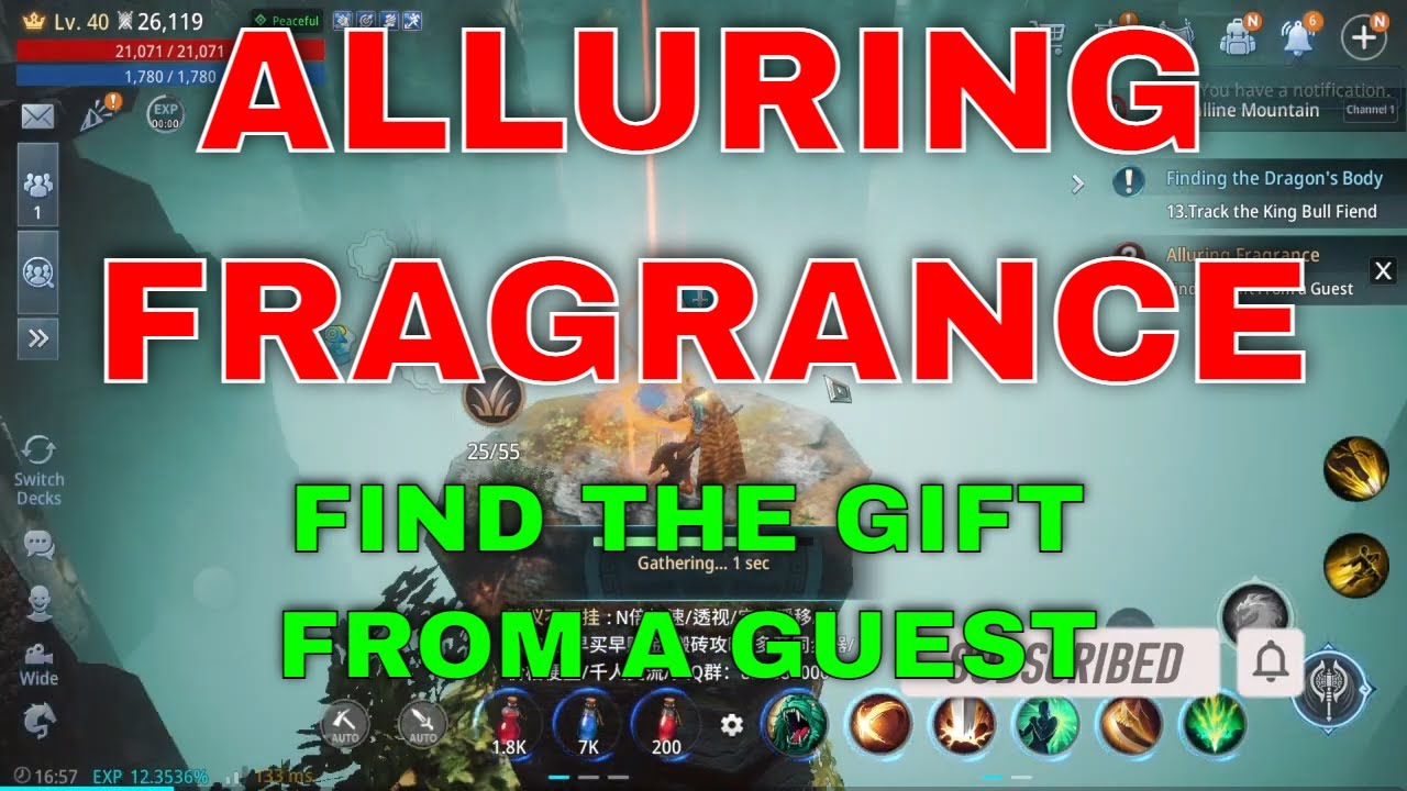 Alluring Fragrance Find The Gift From A Guest Mir4 Request Quest Clue 