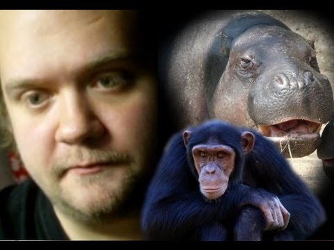 animal attacks