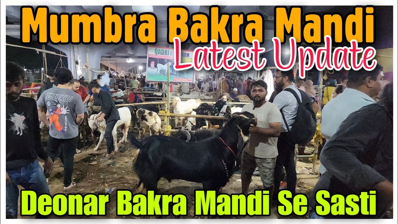 Mumbra Bakra Mandi Latest Update With Price | Deonar Bakra Mandi Se Sasti |