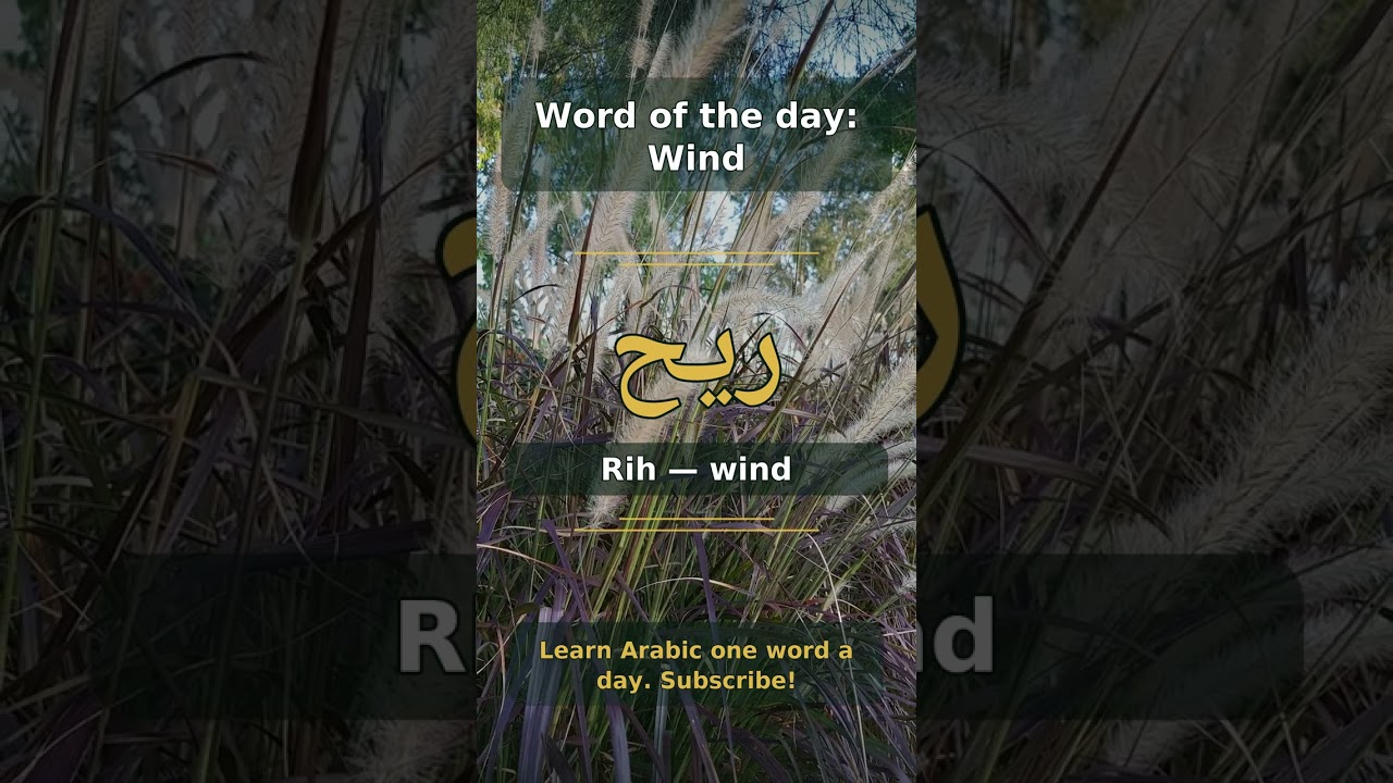 Word of the day: Wind | رِيح (Rih) #shorts