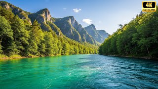 Ancient River Echoes: Pure Water Ambiance for Deep Sleep & Dreaming [4K] 🌿