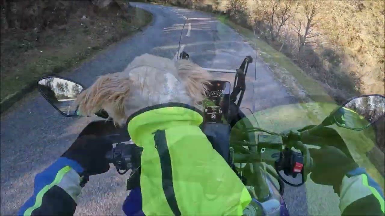 TODAS LAS SEÑALES...