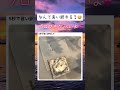 言い訳してごらん?😇
