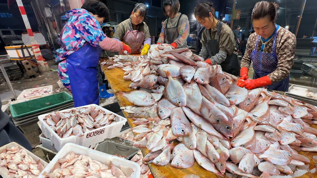 中國 廈門 閩台中心漁港 廈商國際水產中心 營平馬路市場 晚上漁港海鮮市場批發海產 手打魚丸貢丸 人氣超旺的包子鋪 老味道北仔餅 Seafood Market StreetFood Citywalk