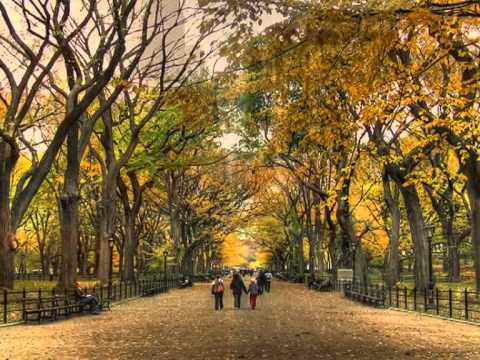 Autumn in New York