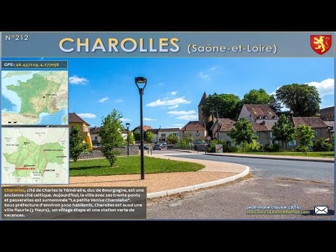 Charolles in three videos: town walk, Charolais cattle and bocage country