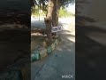 #new b.ed journy #mummykinalayakaulaad #viralshorts #viral