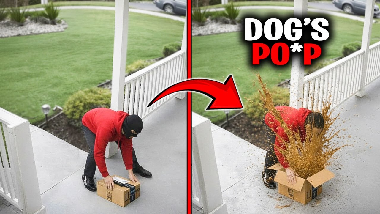 People Who Set Traps For Package Thieves