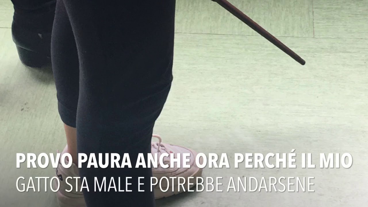 Level Up formazione adolescenti step 4