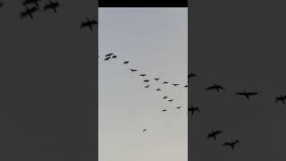 #weather #shortsfeed #viralvideo