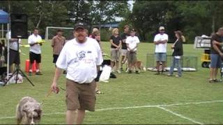 I took Silver in 2008 Skyhoundz Last Chance Qualifier (novice Div)