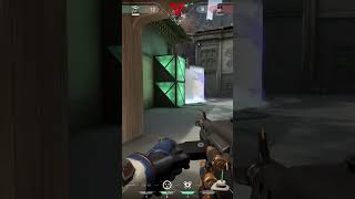 Pros dont Fake Moment