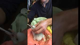 IMG 6440