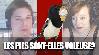 La pie est-elle voleuse? - Bonus live éthologie- La Rediff #8