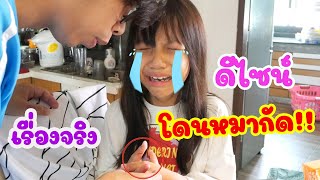 ดีไซน์โดนหมากัด!! สายไหมกัดดีไซน์ (เรื่องจริง) อุทาหรณ์สอนใจ