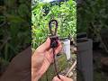 Popular Knot & Genius idea