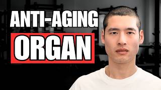 Why Muscle is the REAL Key to Longevity